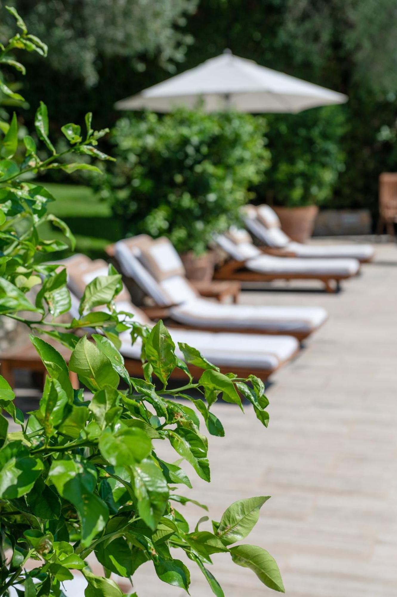 Villa Eden Forte Dei Marmi With Private Infinity Pool Santa Lucia  Екстер'єр фото