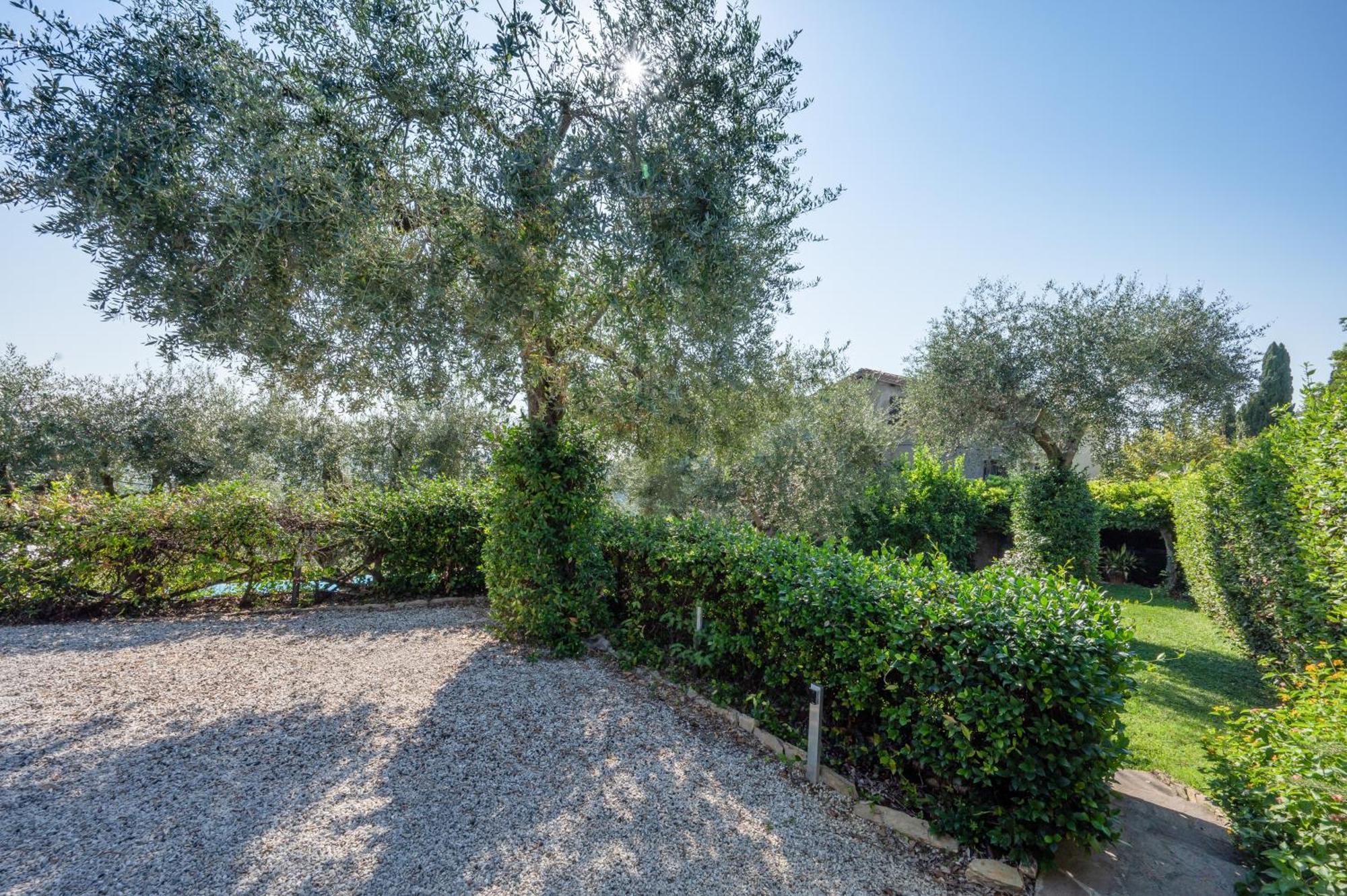 Villa Eden Forte Dei Marmi With Private Infinity Pool Santa Lucia  Екстер'єр фото